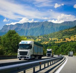 D�n�� Kamyon Tedarik�ili�i Hakk�nda